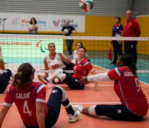 (Miniature) Silver Nations League : La France en or !